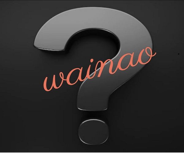 WAINAO N°51- CHANGE WILL COME